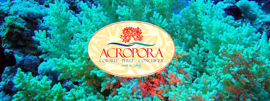 Acropora di Amato Giuseppe ::.